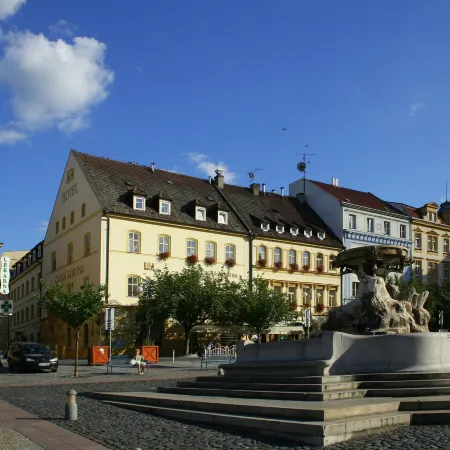 Hotel Česká Koruna Отели в г. Дечин