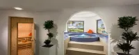 Bahi Ajman Palace Hotel - spa