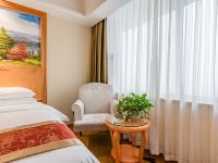 维也纳国际酒店(青州宋城古城店) - 豪华双床房