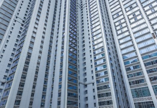 더 알파 스위트