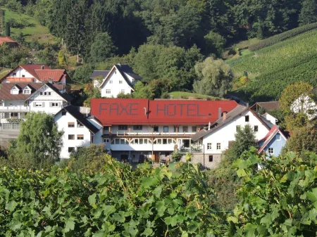 Hotel Faxe Schwarzwälder Hof Отели в г. Каппельродек