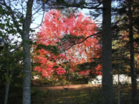 Homeport Motel Hotels in Lunenburg County