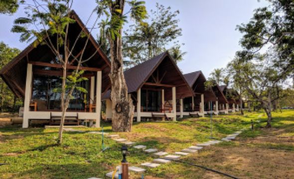 3. 파야마스 프라이..