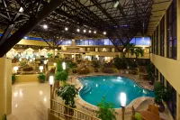 Crowne Plaza JACKSONVILLE AIRPORT/I-95N by IHG - Pools