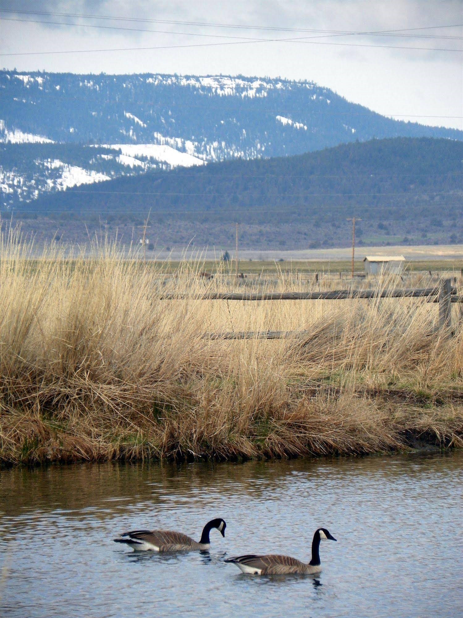 Hunter's Hot Springs