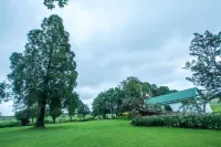 霍約霍約馬查多斯德旅館