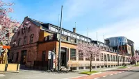 Central City Apartments - Homestays