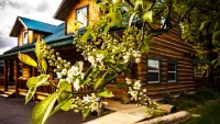Dodge Peak Lodge Hotels in Bonners Ferry