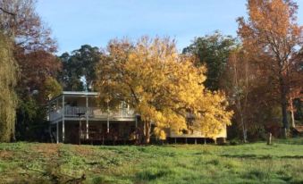 Chestnut Brae - Chestnut Cottage