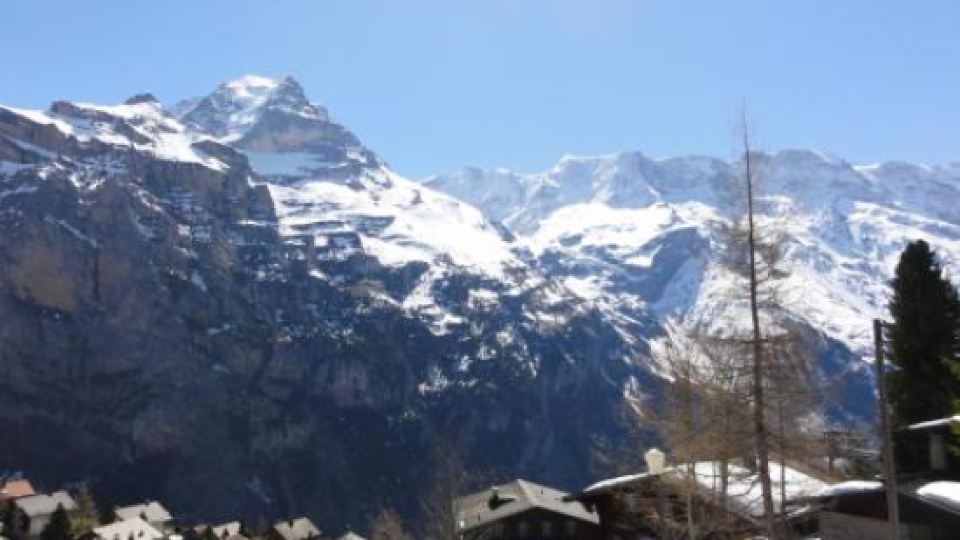 Chalet Schönbühl