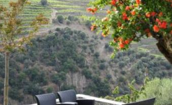Hotel Rural Quinta Do Pego