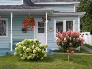 Gîte Aux Trois Pignons