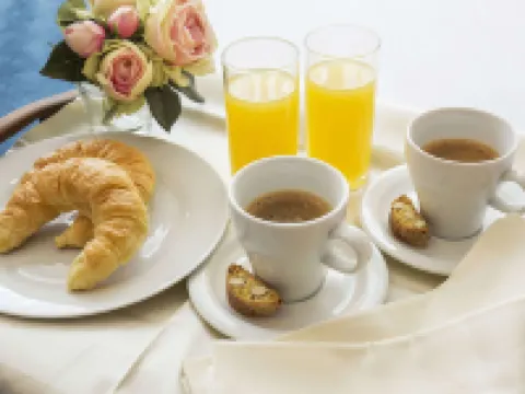 Rodeway Inn Clearwater - Central Hotels in Clearwater