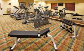 Holiday Inn Express & Suites Greensboro - Airport Area