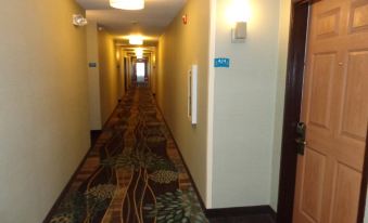 a hallway in a hotel with an orange and green patterned carpet , white walls , and wooden doors at Sonesta ES Suites Denver South Park Meadows