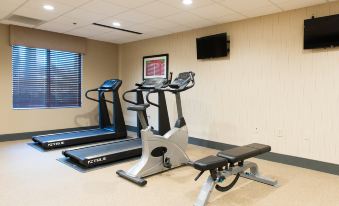 Holiday Inn Express & Suites Walterboro I-95