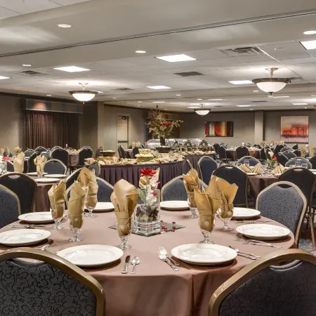 Holiday Inn & Suites COUNCIL BLUFFS-I-29 by IHG