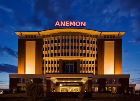 Anemon Grand Malatya Otel Отели в г. Kucuk Huseyinbey Mahallesi