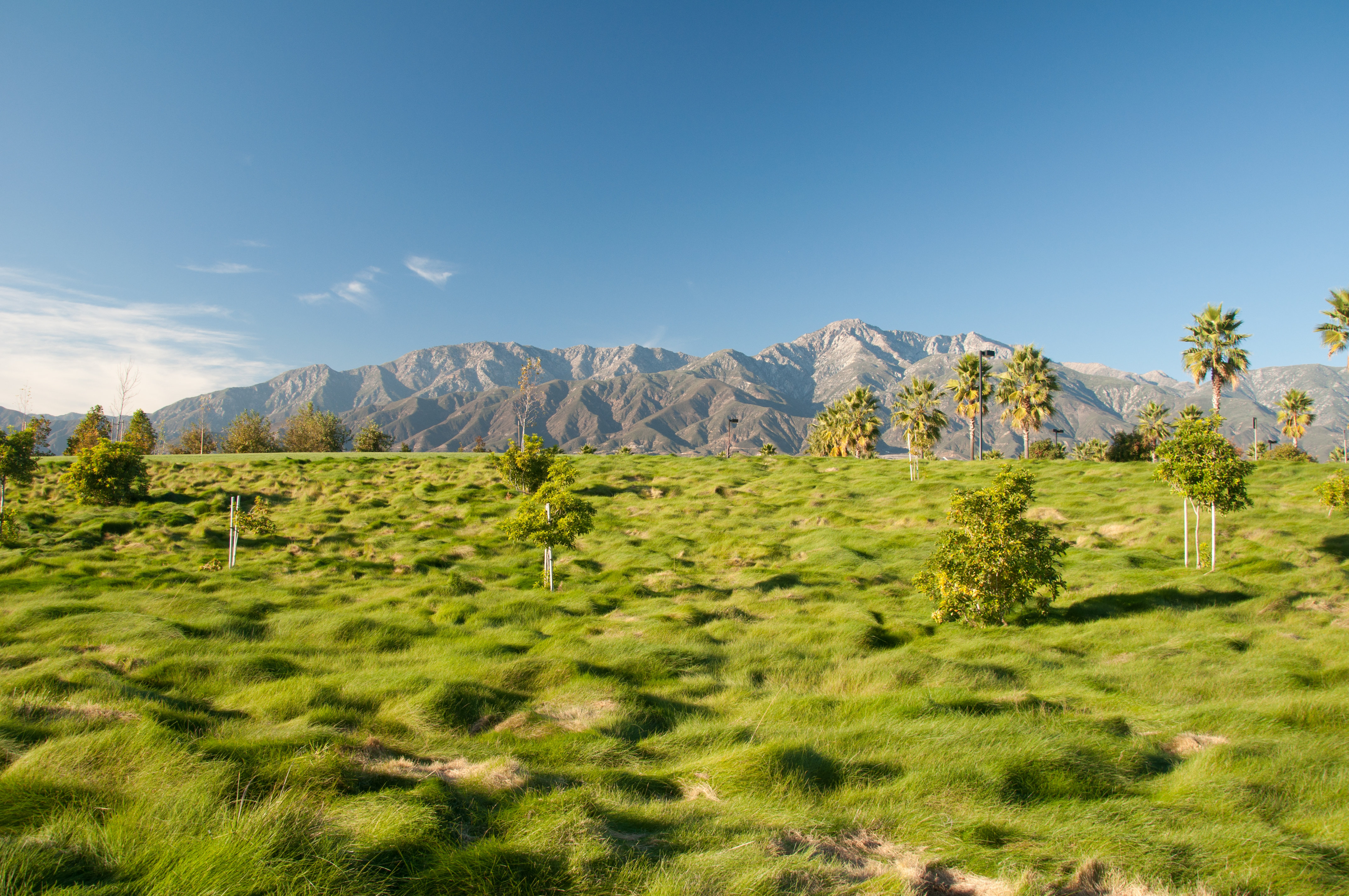 Best Western Inn at Palm Springs