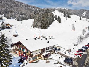 Schi- Und Wanderhotel Berghof