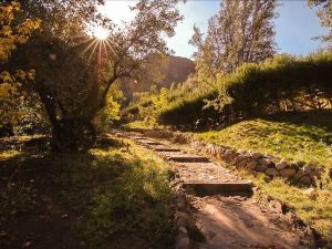 Cabañas Valle de Montañas