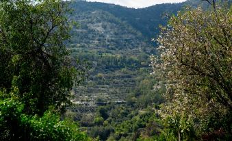 The Old Olive Mill House by TrulyCyprus