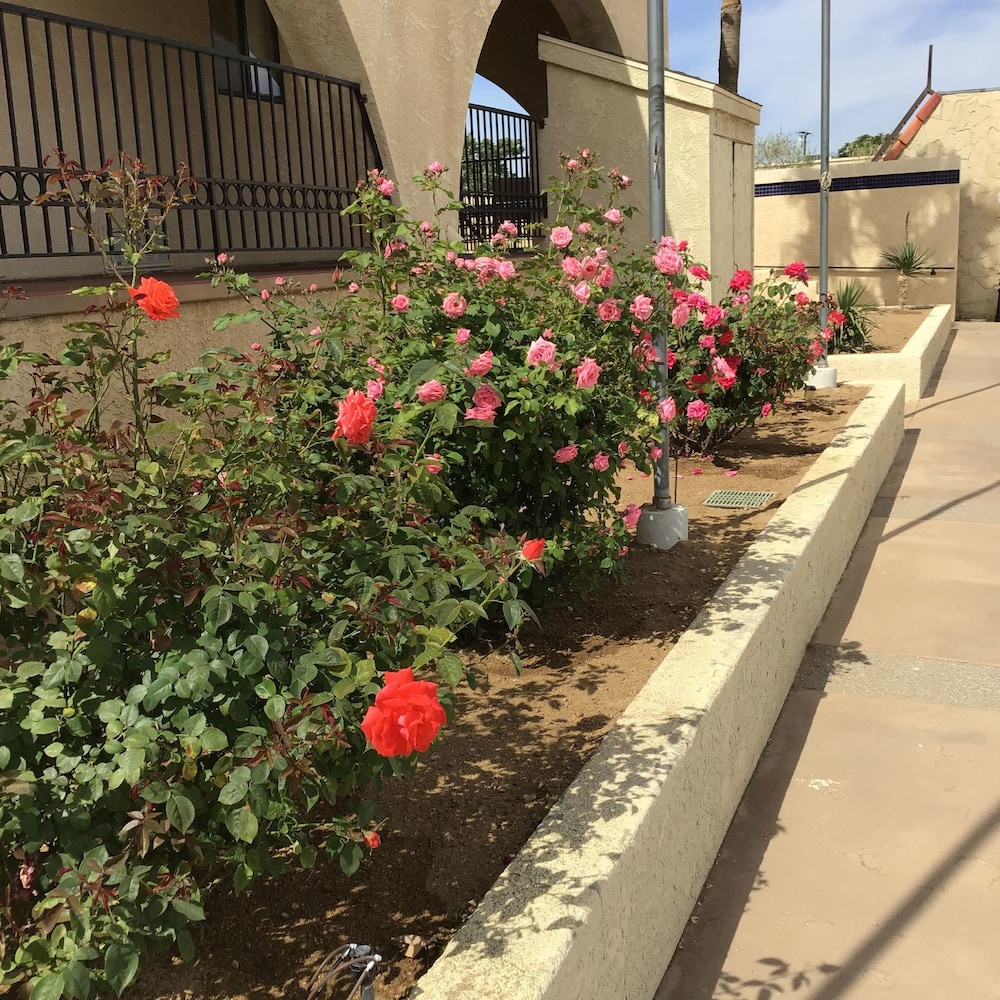 Americas Best Value Inn & Suites Joshua Tree National Park