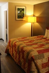hotels in rolla mo pet friendly