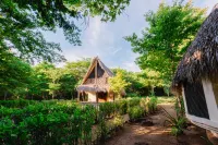Hotel Punta Teonoste - Bãi đậu xe