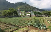 Villa Mutiara Batu Hotell i Pesanggrahan