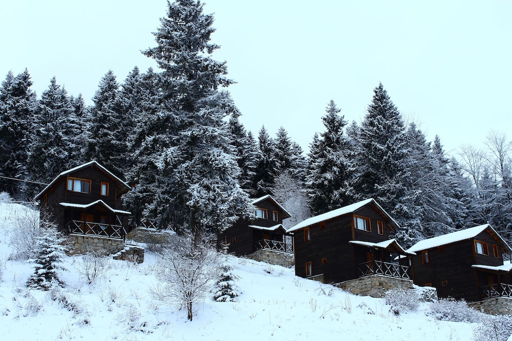 Zitas Otel Zigana Yayla Tatil Koyu