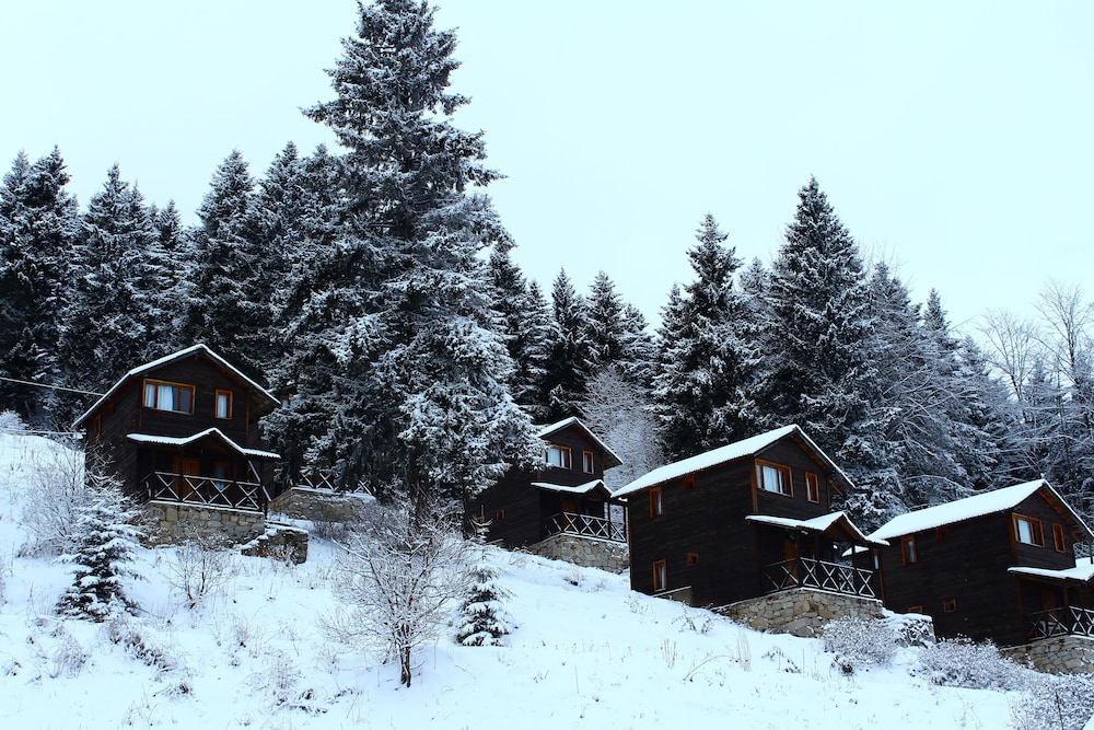 Zitas Otel Zigana Yayla Tatil Koyu