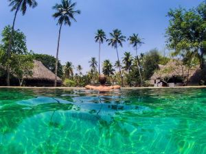 Marari Beach Resort Alleppey- CGH Earth