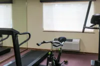 Quality Inn & Suites Red Wing - Kuntosalit