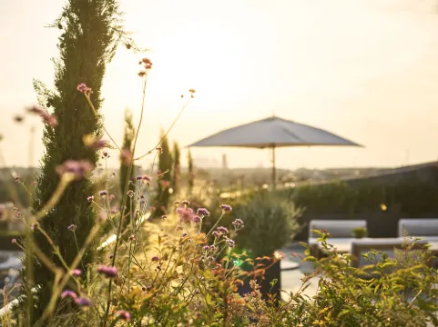 Le Meurice À proximité de l'hôtel Photos