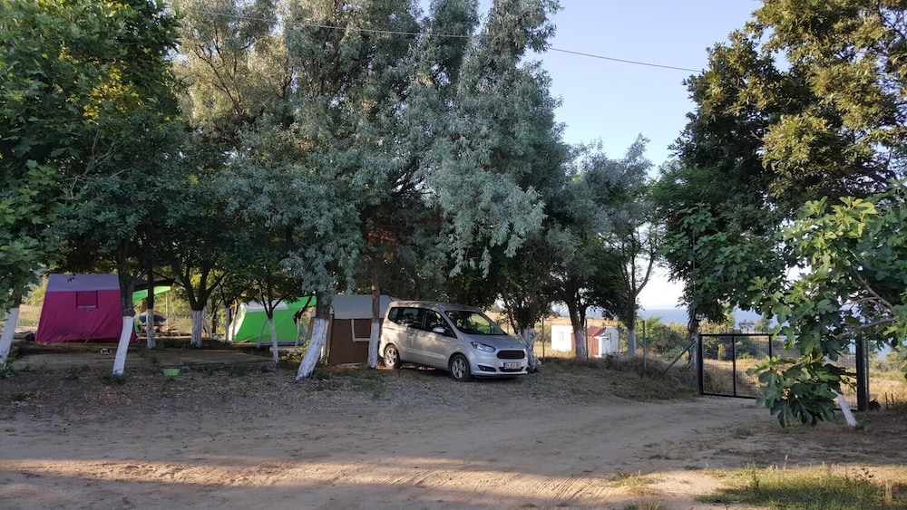 Dama Kamp Alani