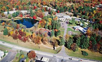 an aerial view of a lake surrounded by trees and buildings , with autumn leaves on the ground at Paradise Stream Resort
