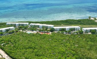 a lush green landscape with trees and buildings , possibly a resort or hotel , near the ocean at Mangroves