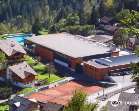 Palladium de Champéry Hotels in Champery