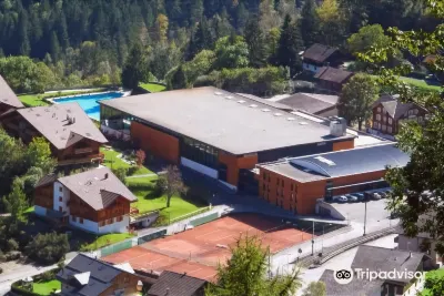 Palladium de Champéry Hotels in Champery