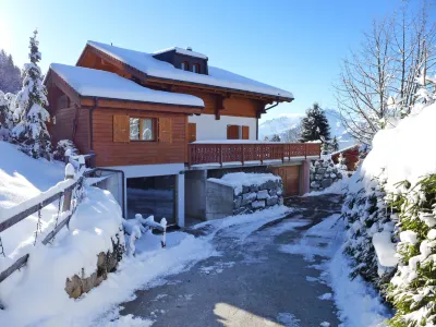 Chalet Petit Pont Aiglon College附近的飯店