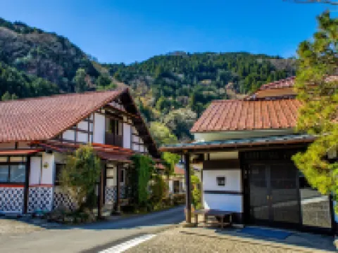 Shirakabeso Hotels in Izu