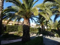 Le Jardin de Matisse