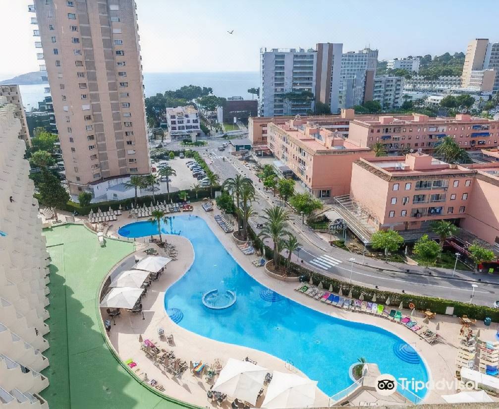 Sol Guadalupe-Magalluf Updated 2022 Room Price-Reviews & Deals | Trip.com