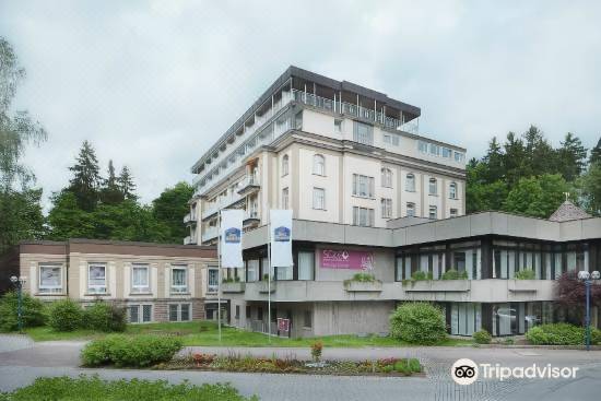 Sure Hotel by Best Western Bad Duerrheim-Bad Durrheim Updated 2022 Room  Price-Reviews & Deals | Trip.com
