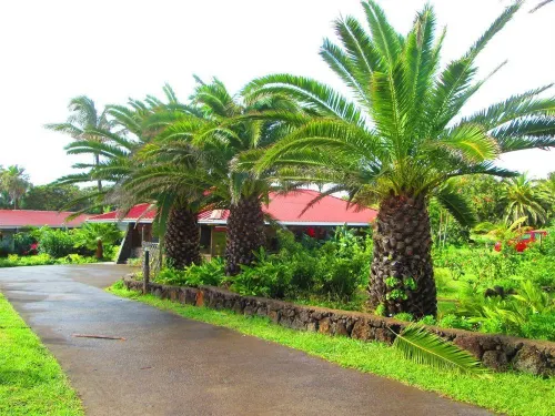 Iorana Isla de Pascua Hotel Hotels in Hanga Roa