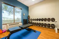 Comfort Inn & Suites Orlando North - Gym