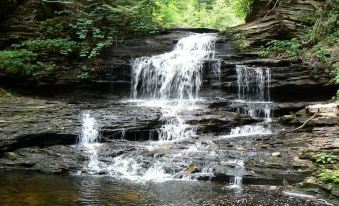 a beautiful waterfall cascading down rocks into a pool of water , surrounded by lush greenery at Best Western Plus Wilkes Barre Center City