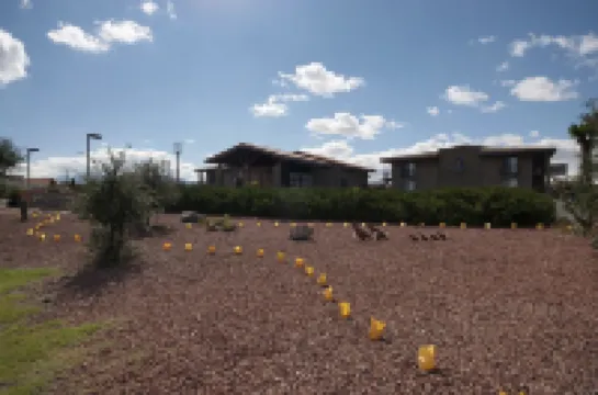 Quality Inn Benson I-10 Exit 304