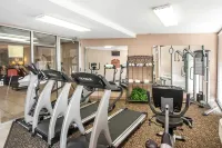 Comfort Inn Memphis Downtown - Kuntosalit